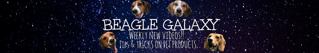 Beagle Galaxy رمز قناة اليوتيوب
