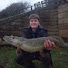 1ER92YotWxE-channel-avatar-The River Bank Boys 