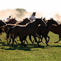 Gauchos Argentinos 🇦🇷