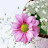 @annk4e-f7v