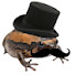 ViEm1D49Omw-channel-avatar-Mr Toad