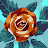 @owaisraza-ej9ov's avatar