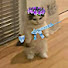 uVMng-5_N4w-channel-avatar-DIOR IS HERE 