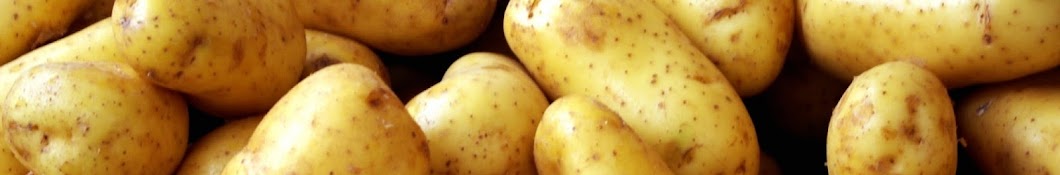 PotatoMasta Awatar kanału YouTube