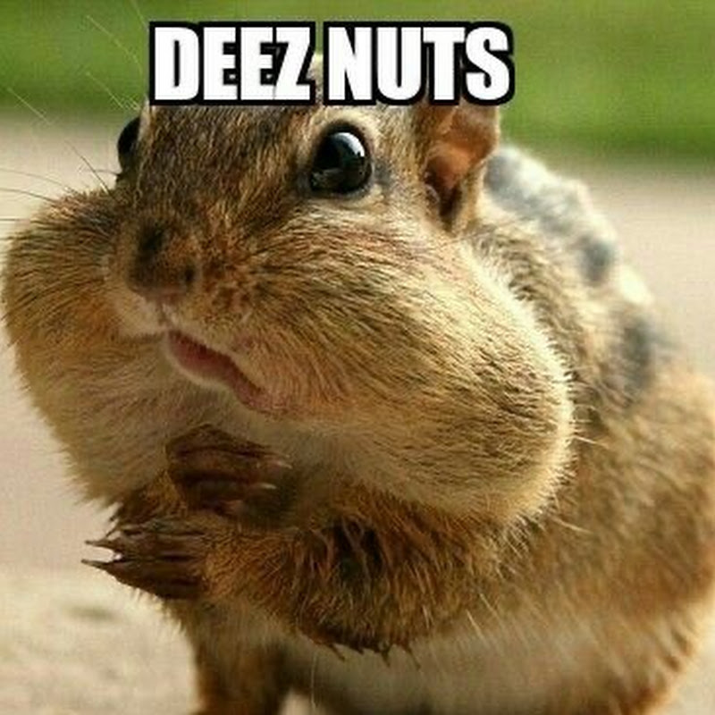 Deez Nuts Gaming