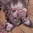 @peterd4047's avatar