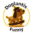vq_ElEbzHxc-channel-avatar-Doglantis Funny