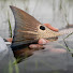 2FmESQyFEh8-channel-avatar-SC Flats Fishing