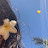 @ZouikeriDouaa
