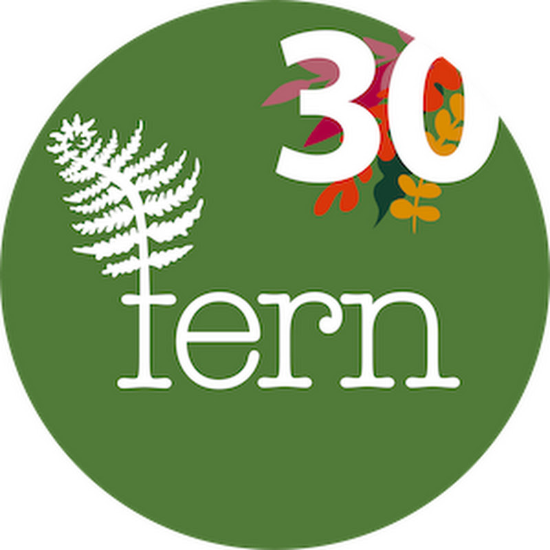 Fern NGO