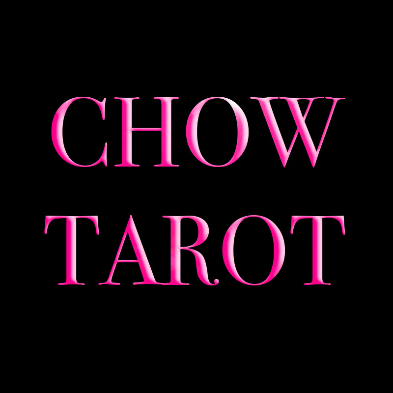 쵸우타로 ⟡ ☪︎·̩͙how Logo