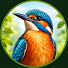 XDxBnjpGPQE-channel-avatar-Descoperă Fauna