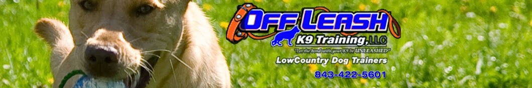 Off Leash K9 Training of the LowCountry YouTube channel avatar