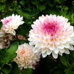 令和皇紀の画像