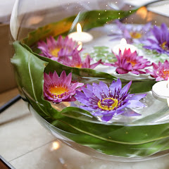 水生植物専門店 杜若園芸