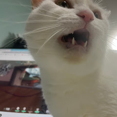 なつ様だ道開けろ