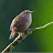 @leach778's avatar