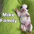 rvMsYLhUeQc-channel-avatar-Mike Family
