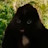 @MunicipalityCity Avatar
