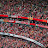 Avatar de @ArsenalCORNER254