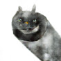 OAC7vla7vMc-channel-avatar-BOKSHIL