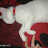 @MasaIssa-kk8sw