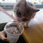 @fruit-u3p