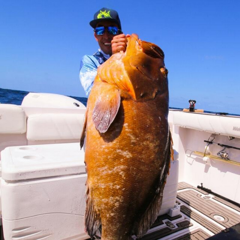 Amental Fishing Ultralight