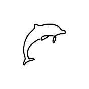 Line Drawing Art