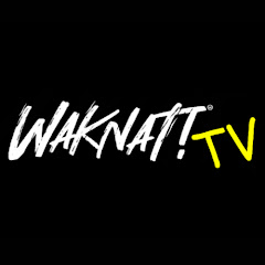 Waknat TV net worth