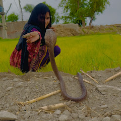 girls snake hunter 