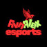 SyeGr_f65WA-channel-avatar-Avnalex