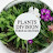 @ferns-and_orchids.com12398 Avatar