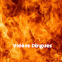 Vidéos Dingues logo