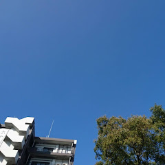 渡辺アニサス