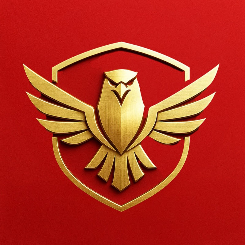 Financial Hawks