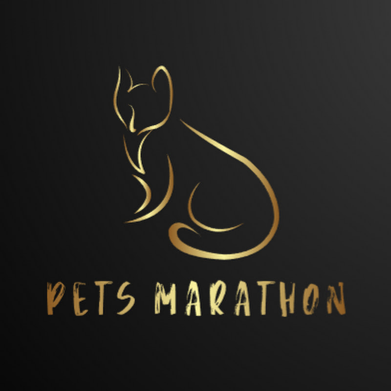 Pets Marathon