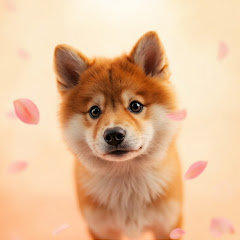 灬哒咩哟アイコン画像