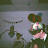 @3lawy-i8h