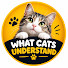 fopvhzSQX80-channel-avatar-WHAT CATS UNDERSTAND and Catwise