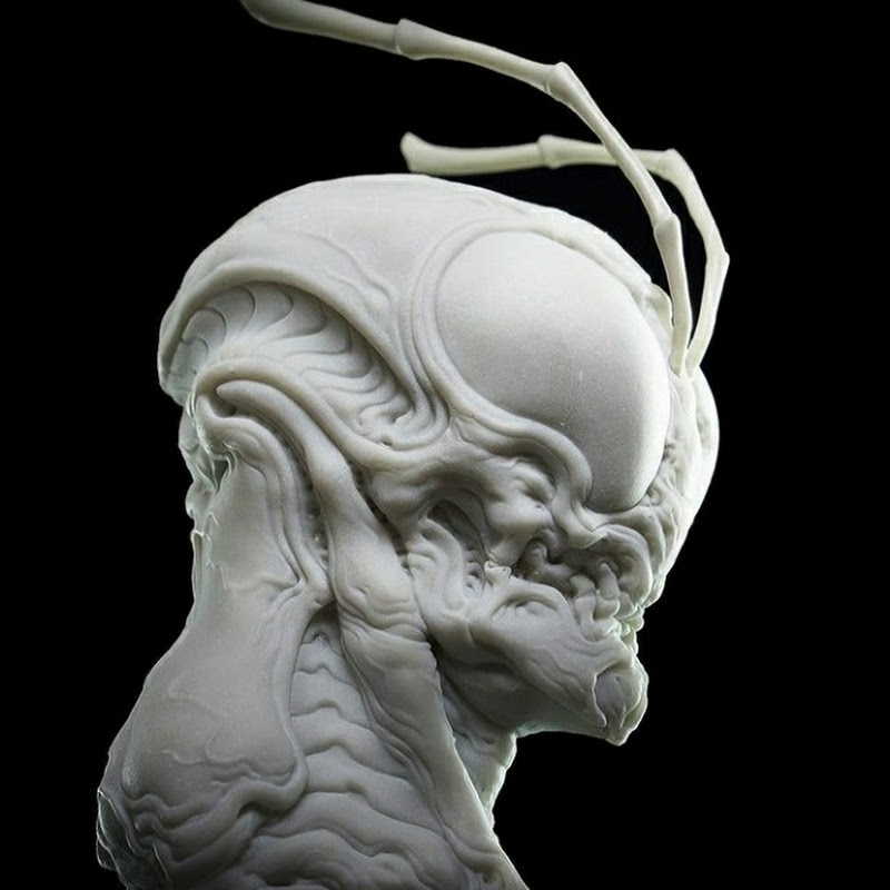 Madmanlii