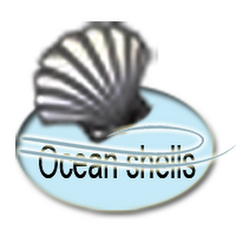 Ocean shells