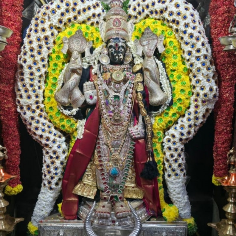 H N RaniAnand  