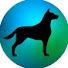 qLHAKyd3hJ8-channel-avatar-Dog Training World