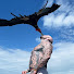 Ey8z2jrFfFk-channel-avatar-ADVENTURE-JONES