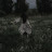 @user-zw1of3bt7c