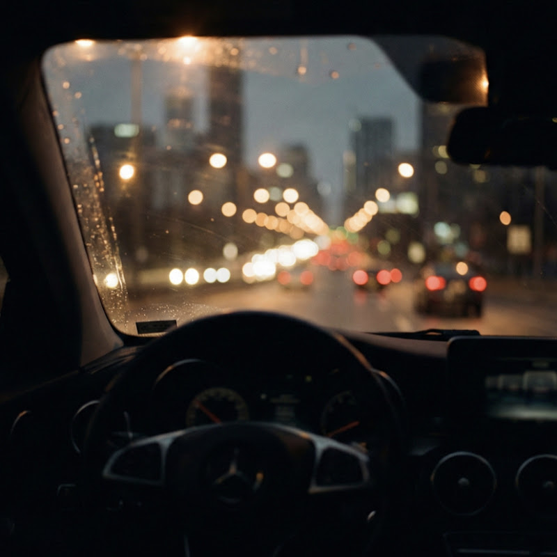 ThroughMyLens