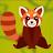 AussieRedPanda