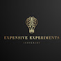 EXPENSIVE EXPERIMENTS  logo