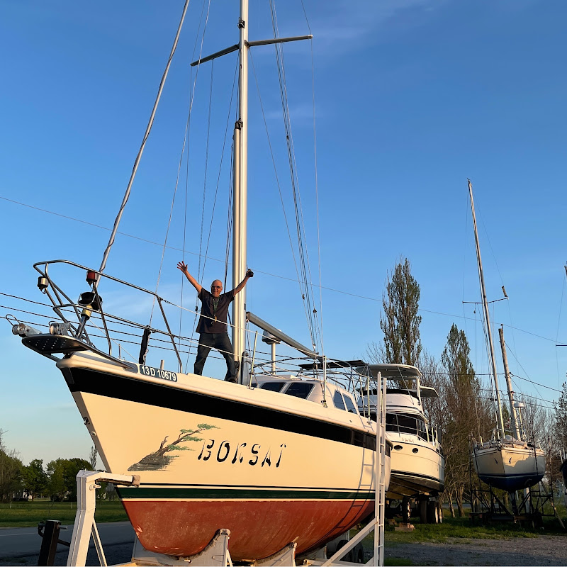 voilierbonsaifree8536